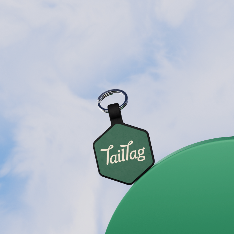 A TailTag keychain on a moss-covered surface in a forest setting.